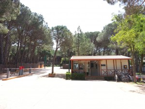 Reception and high tech gates at Camping Begur