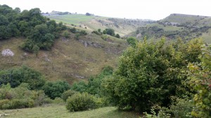 View from Cressdale