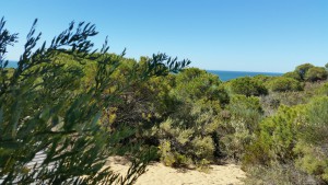 Sand Dunes