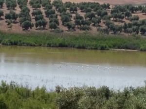 Laguna de El Donadio