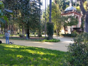 Alcazar Garden Artists