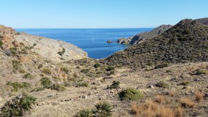 View from the cliff trail...