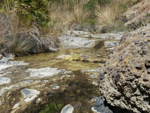 River from Las Negras...