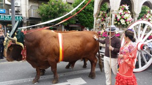 Granada fiesta...